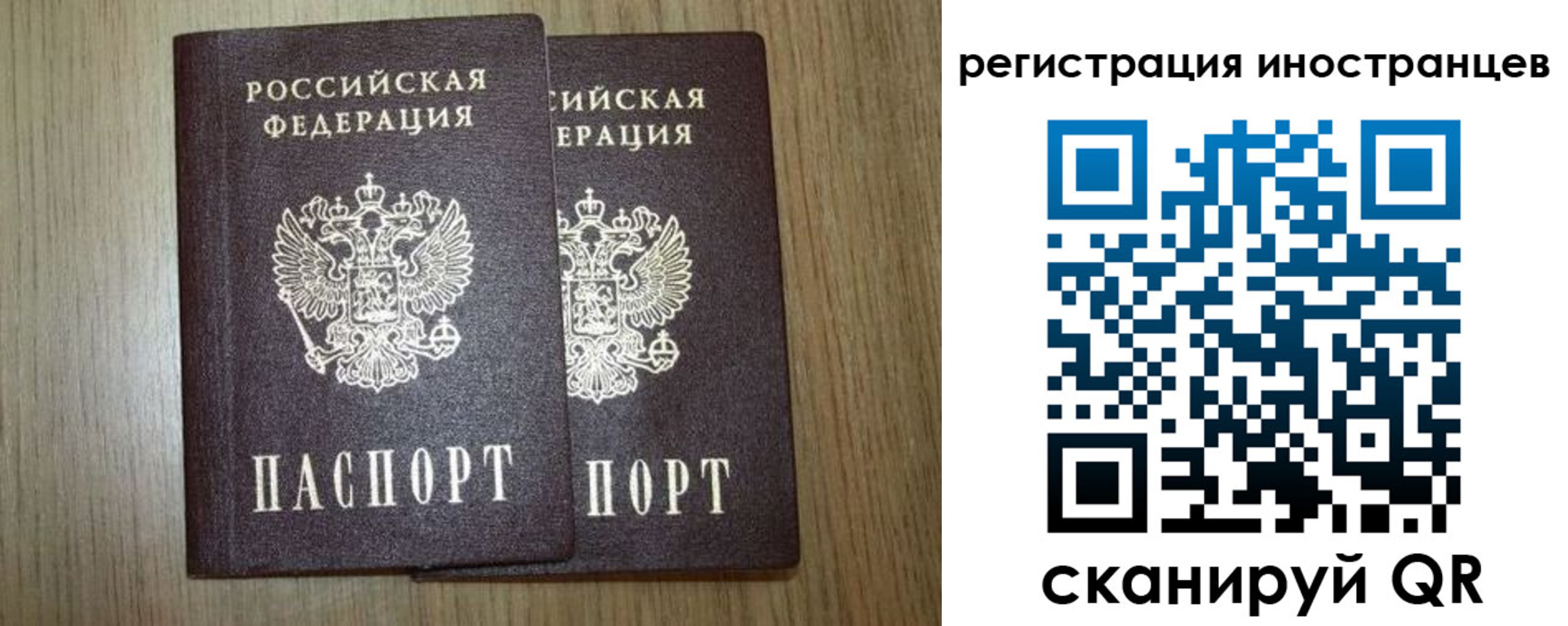 прописка для школы в Жердевке